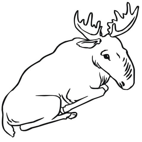 Sitting Moose Coloring Page